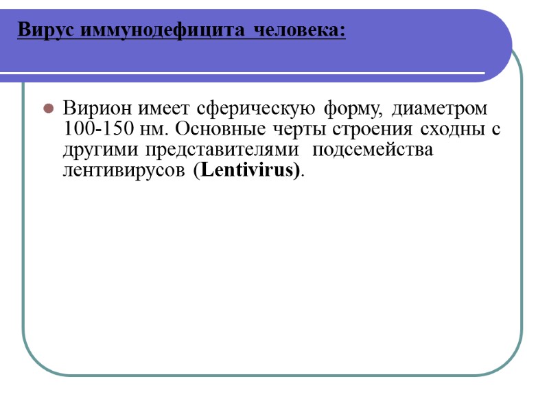 Вирус иммунодефицита человека:  Вирион имеет сферическую форму, диаметром 100-150 нм. Основные черты строения